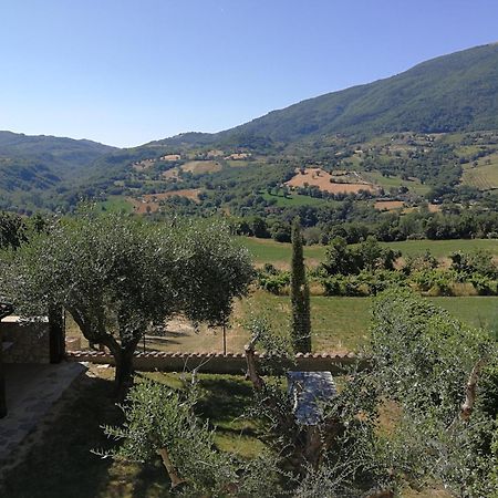 Agriturismo Sole Luna Piano Delle Pieve Quarto foto