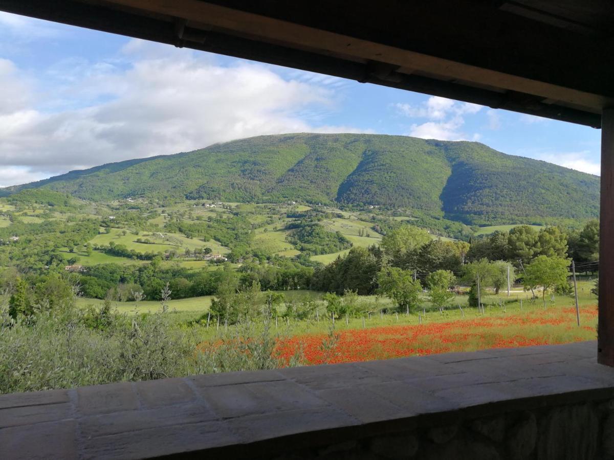 Agriturismo Sole Luna Piano Delle Pieve Exterior foto